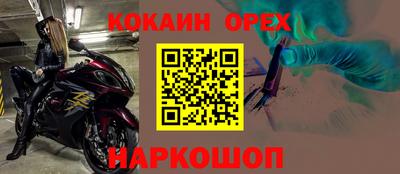 шишки Изобильный