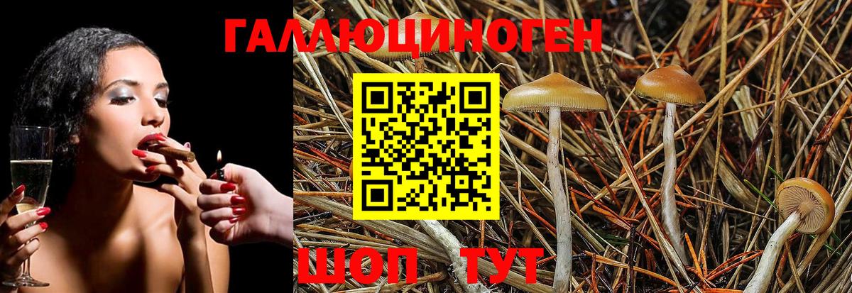 Псилоцибиновые грибы MAGIC MUSHROOMS  Вход с VPN  Кумертау 
